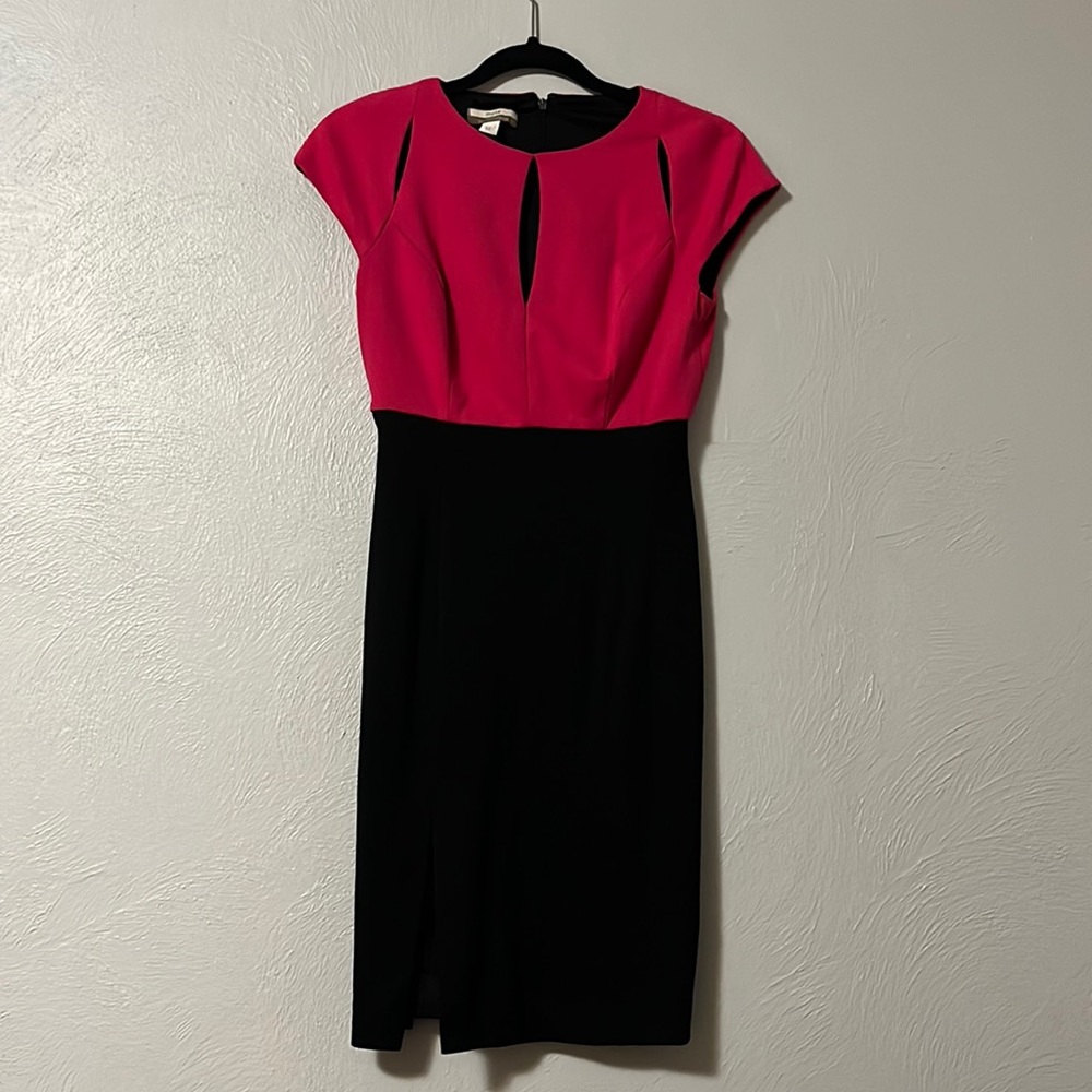 Muse Exclusively for Boston Proper! Bright pink and black dress!